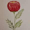 Klant imago Aquarelblok Gelijmd Koudgeperste Bogen 300g - A4