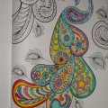 Klant imago Aquarelpen Mondeluz - Blikken doos met 48 pennen