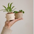 Klant imago DAS Klei 1 kg Terracotta