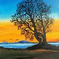 Klant imago Fine Art verdunning 222 - 1000 ml