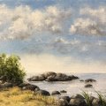 Klant imago Schuimborstel 50 x 68 mm - onbehandeld