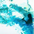 Klant imago Amsterdam acrylverf 500 ml - Groenachtig blauw