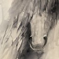 Klant imago Aquarelverf W&N Professional 5ml Tube - 465 Payne's grijs