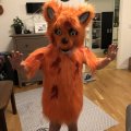 Klant imago Gorillabont - Oranje