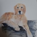 Klant imago Katoenen doek 380g - 50x60 cm