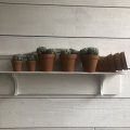 Klant imago Terracotta potten 10 cm - 10-pack