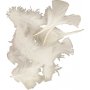 Dons - wit - 50 g