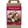 DIY Kit Kerstboomballen - Glitter