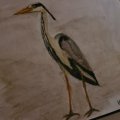 Klant imago Aquarelpotlood Albrecht Dürer - 272 Warm Grijs III