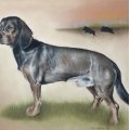 Klant imago Kleurpotlood Polychromos - 103 Ivoor