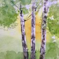 Klant imago Aquarelverf W&N Cotman Half kopje - 109 Cadmiumgele tint