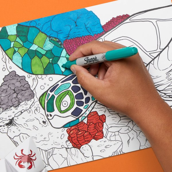 Vezelpennenset Sharpie - Permanente markt - Diverse kleuren - Fijn