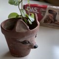 Klant imago DAS Klei 1 kg Terracotta