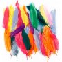 Veren - gemengde kleuren - 350 st