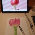 Klant imago Multiplex 3,6 mm / A2 594 x 420 mm