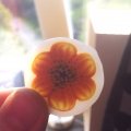 Klant imago Modellering Fimo Effect 57g - Parelmoer