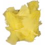 Dons - geel - 50 g