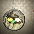 Klant imago Wit mos (korstmos) - natuurlijk 50 g