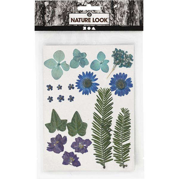 Gedroogde bloemen en bladeren - blauw Gedroogde bloemen en bladeren - blauw