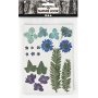 Gedroogde bloemen en bladeren - blauw