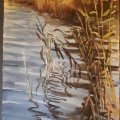 Klant imago Aquarelverf ShinHan Premium PWC 15ml - Schaduwgroen (593)