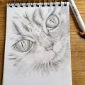 Klant imago Potlood Faber-Castell 9000 - 2H