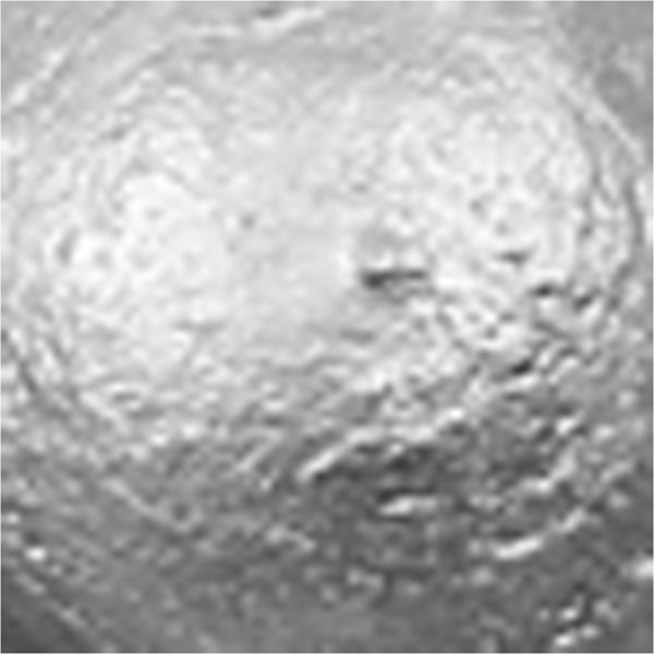 Schoolverf Acryl - Metallic - zilver - metallic - 500 ml Schoolverf Acryl - Metallic - zilver - metallic - 500 ml