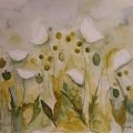 Klant imago Aquarelverf W&N Professional Tube 5 ml - 294 Groen goud