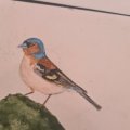 Klant imago Aquarelpotlood Albrecht Dürer - 273 Warm Grijs IV