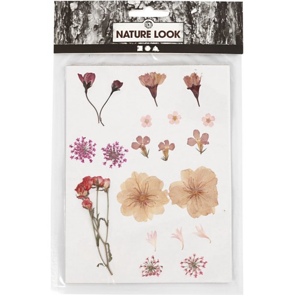 Gedroogde bloemen en bladeren - lichtroze Gedroogde bloemen en bladeren - lichtroze