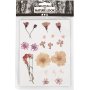 Gedroogde bloemen en bladeren - lichtroze