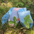 Klant imago Alegria 100g - Wedgwood