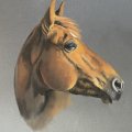 Klant imago Pastel Cretacolor F/A - Zinkwit (102)