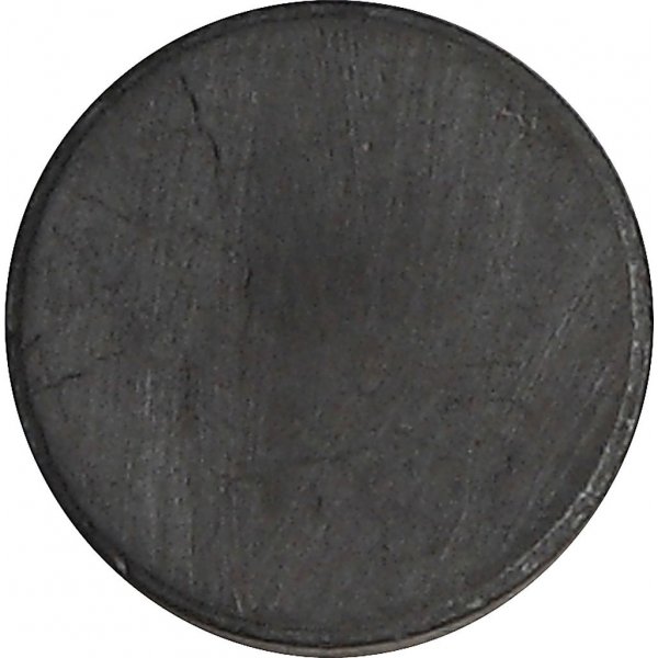 Magneet - 14,5 mm - 50 st