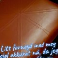 Klant imago Bekledingsstof Vinyl / Imitatieleer Bordeaux - 140 cm
