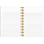 Kalender 24/25 Senator - A6 - Ster
