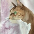 Klant imago Aquarelverf W&N Cotman Half cup - 074 Sienna gebrand