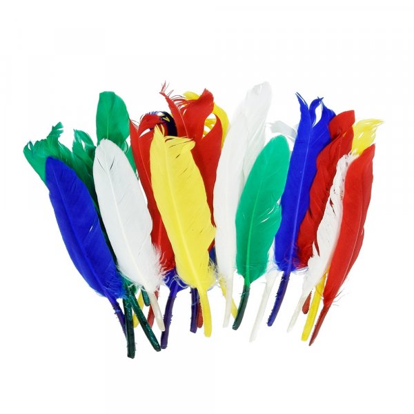 Indianenveren 12 - 15 cm - diverse kleuren gemengd 20-pack