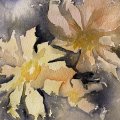 Klant imago Aquarelblok Gelijmd Ruw bos Bogen 300g - A5