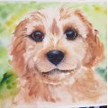 Klant imago Aquarelblok Gelijmd Ruw bos Bogen 300g - A4