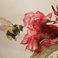 Klant imago Aquarelblok Gelijmd Ruw bos Bogen 300g - A3