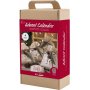 Adventskalender - Borduren