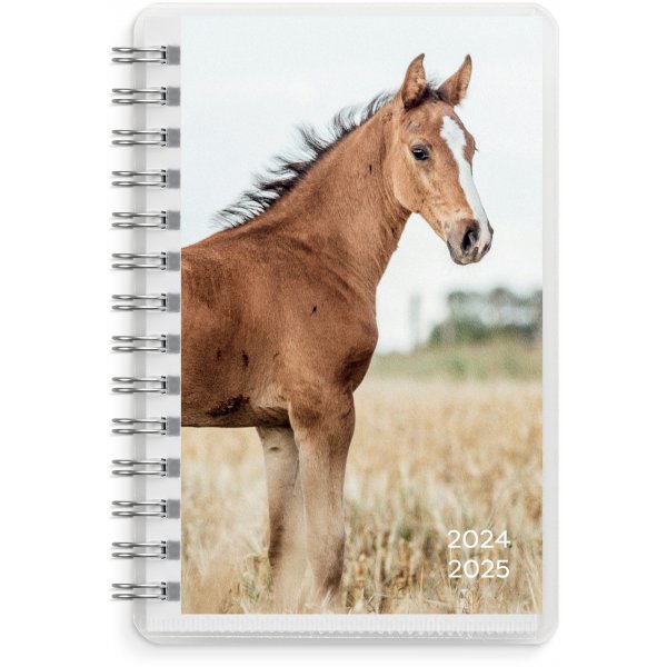 Kalender 24/25 Compact - Huisdieren Kalender 24/25 Compact - Huisdieren