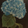 Klant imago Acrylverf W&N Galeria 60ml - 346 Citroengeel