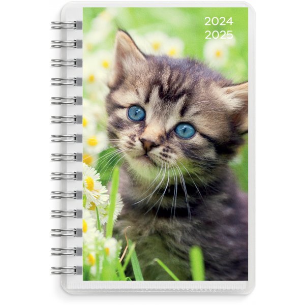 Kalender 24/25 Compact - Huisdieren Kalender 24/25 Compact - Huisdieren