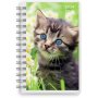 Kalender 24/25 Compact - Huisdieren
