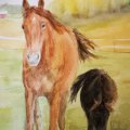 Klant imago Aquarelblok Gelijmd Ruw bosje Bogen 300g - 26x36 cm