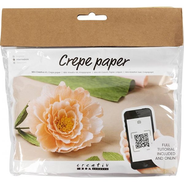 Mini DIY Kit Crpepapier - Pioenroos