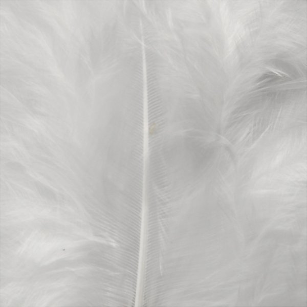 Dons - wit - 15 st Dons - wit - 15 st