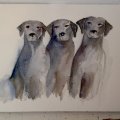 Klant imago Aquarelblok Ruw bosje Bogen 300g - 23x31 cm